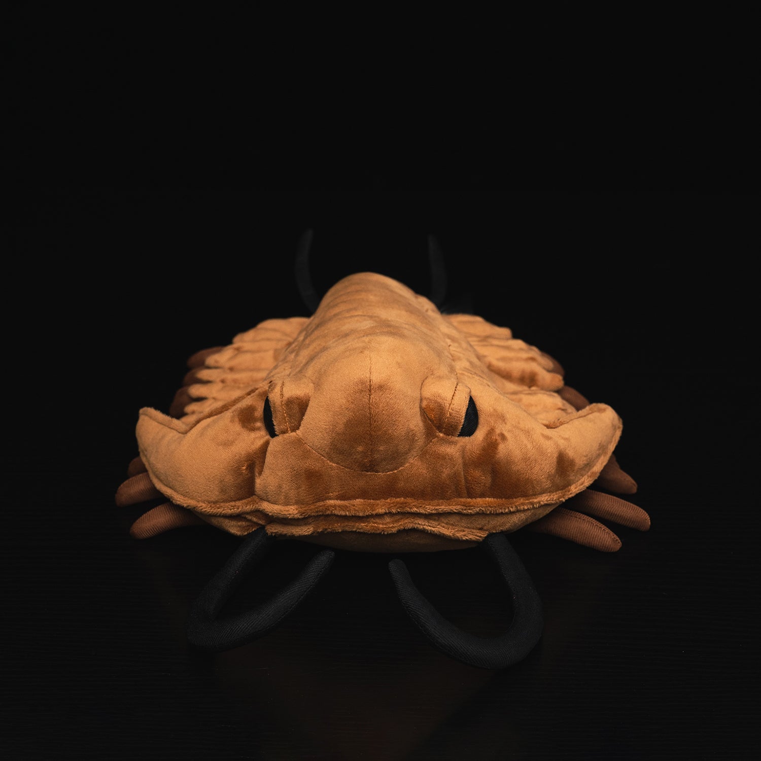 Front view of Redlichiida trilobite plush toy showing realistic antennae and detailed face by SoftDaysLab
