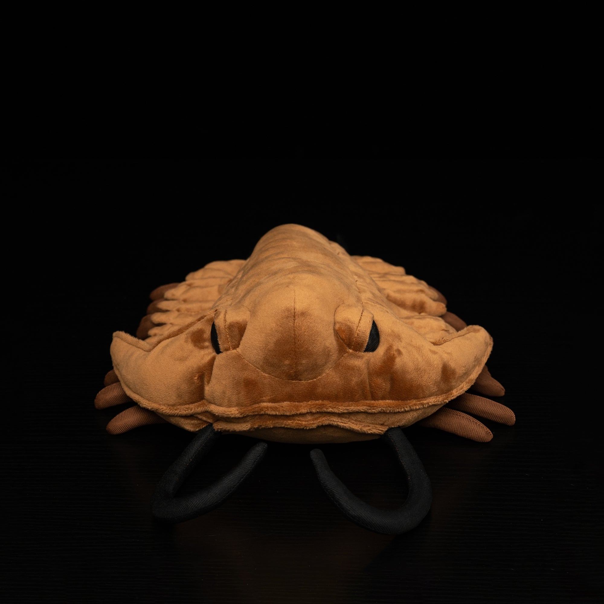 Front view of Redlichiida trilobite plush toy showing realistic antennae and detailed face by SoftDaysLab