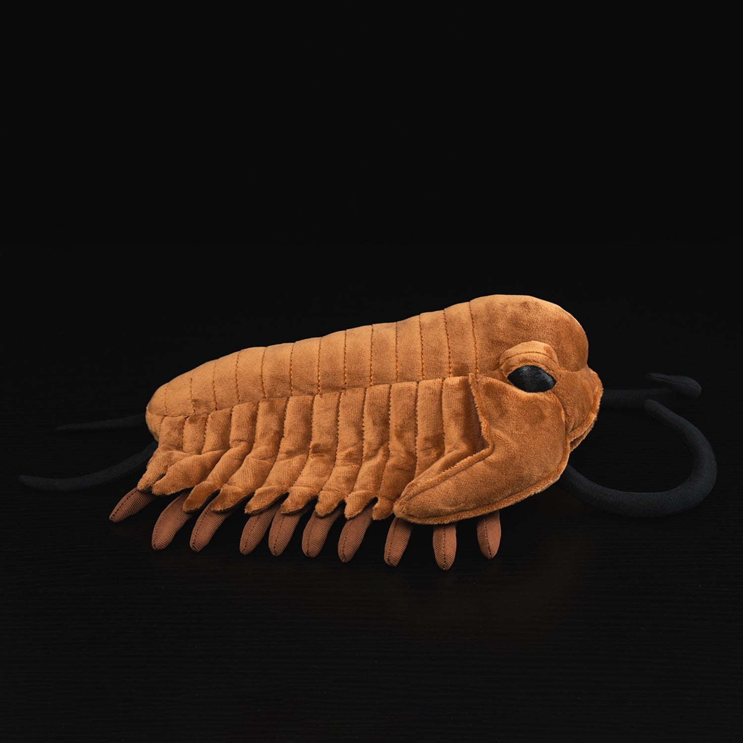 Side view of Redlichiida trilobite plush toy with lifelike details, perfect for prehistoric fans by SoftDaysLab