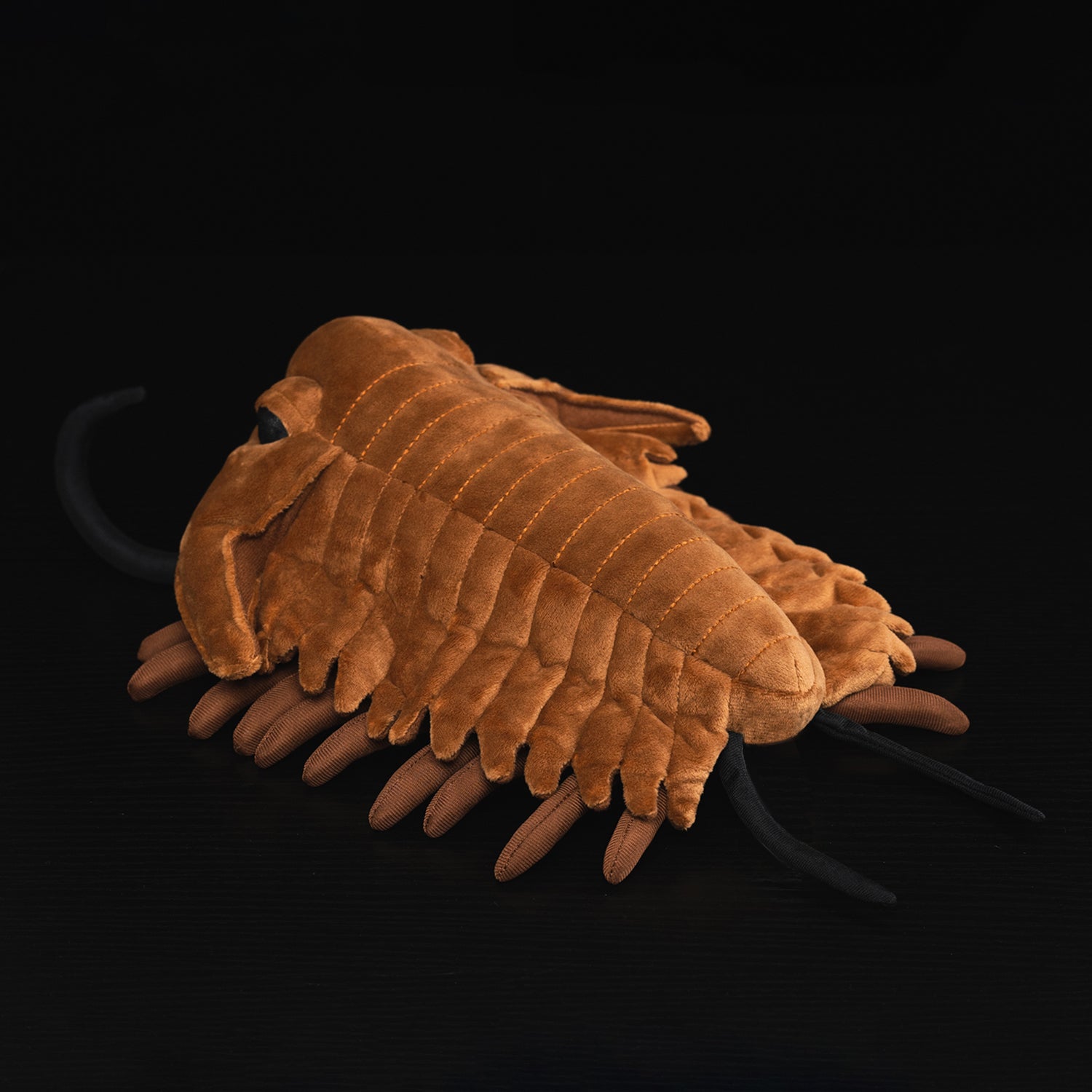 Rear view of Redlichiida trilobite plush toy showcasing lifelike tail and segmented features