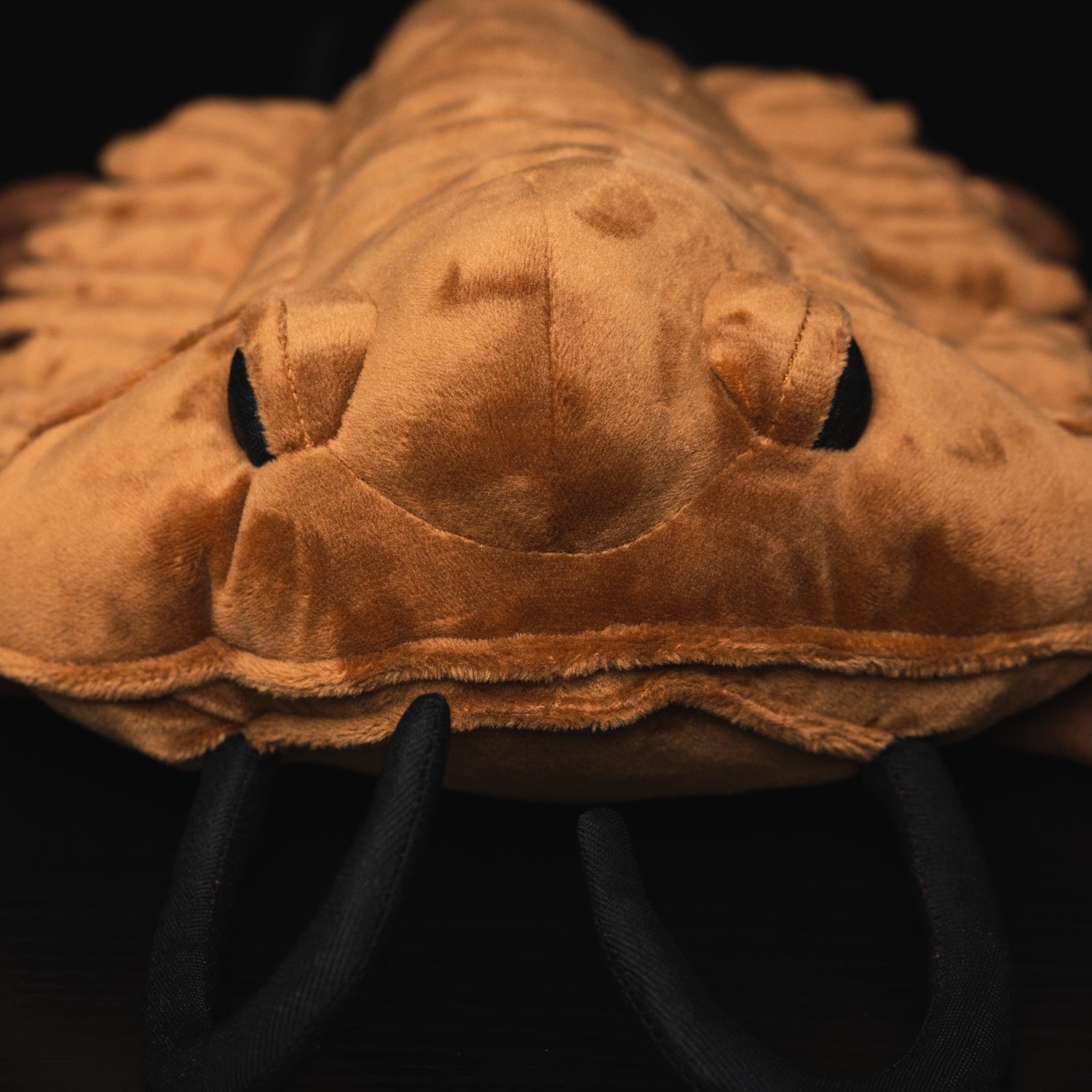Side close-up of a Realistic Redlichiida Trilobite Plush, featuring embroidered eyes and prehistoric-inspired design