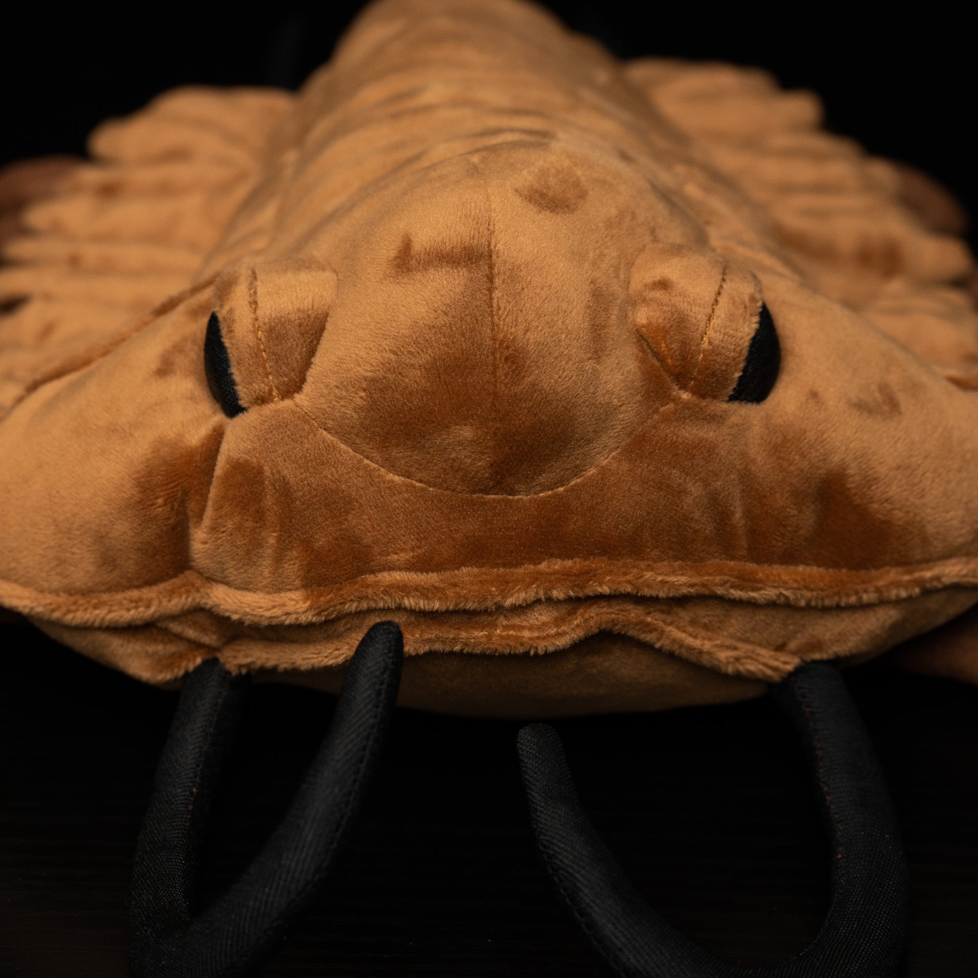 Side close-up of a Realistic Redlichiida Trilobite Plush, featuring embroidered eyes and prehistoric-inspired design