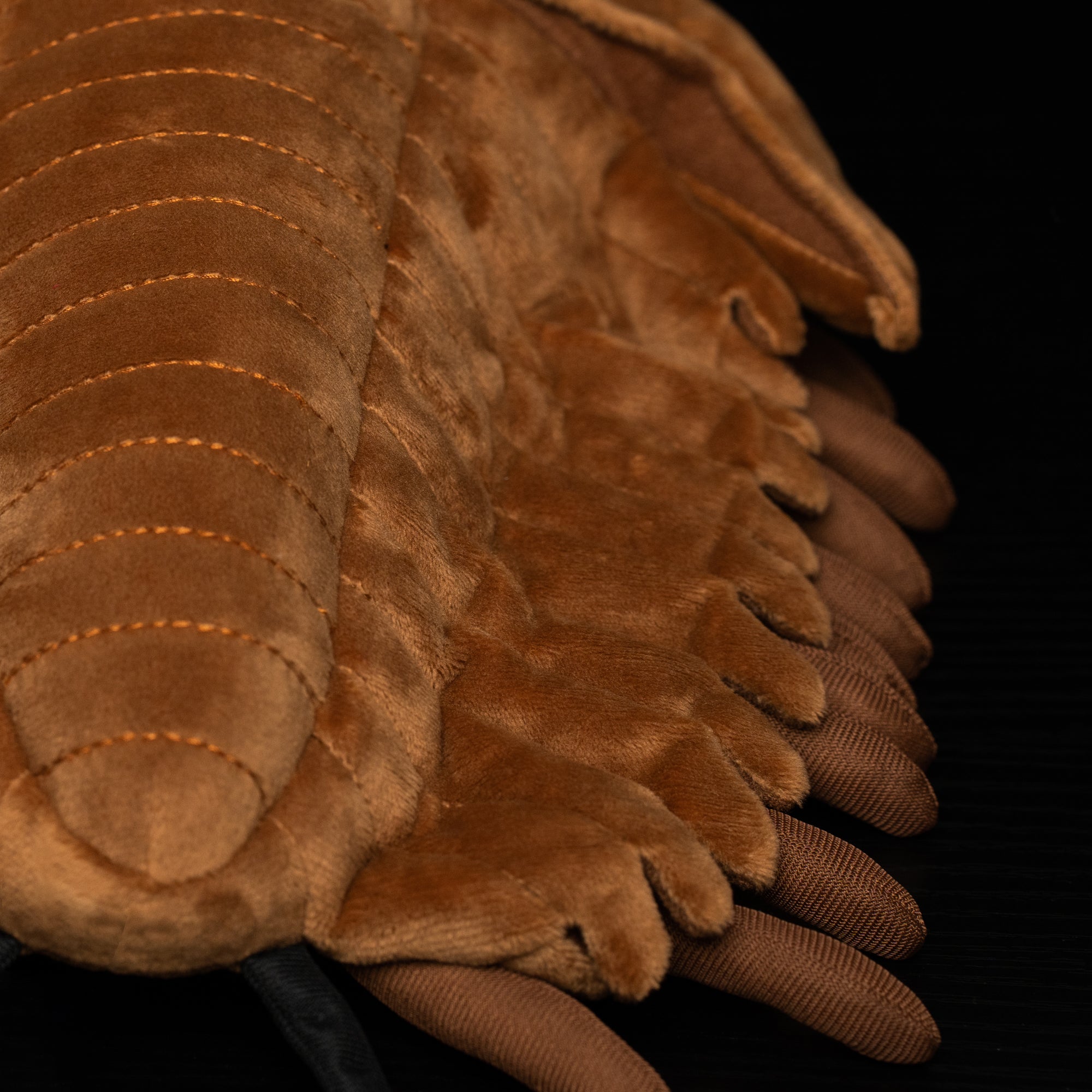 Detailed back close-up of the Realistic Redlichiida Trilobite Plush, emphasizing the soft fabric structure and lifelike design