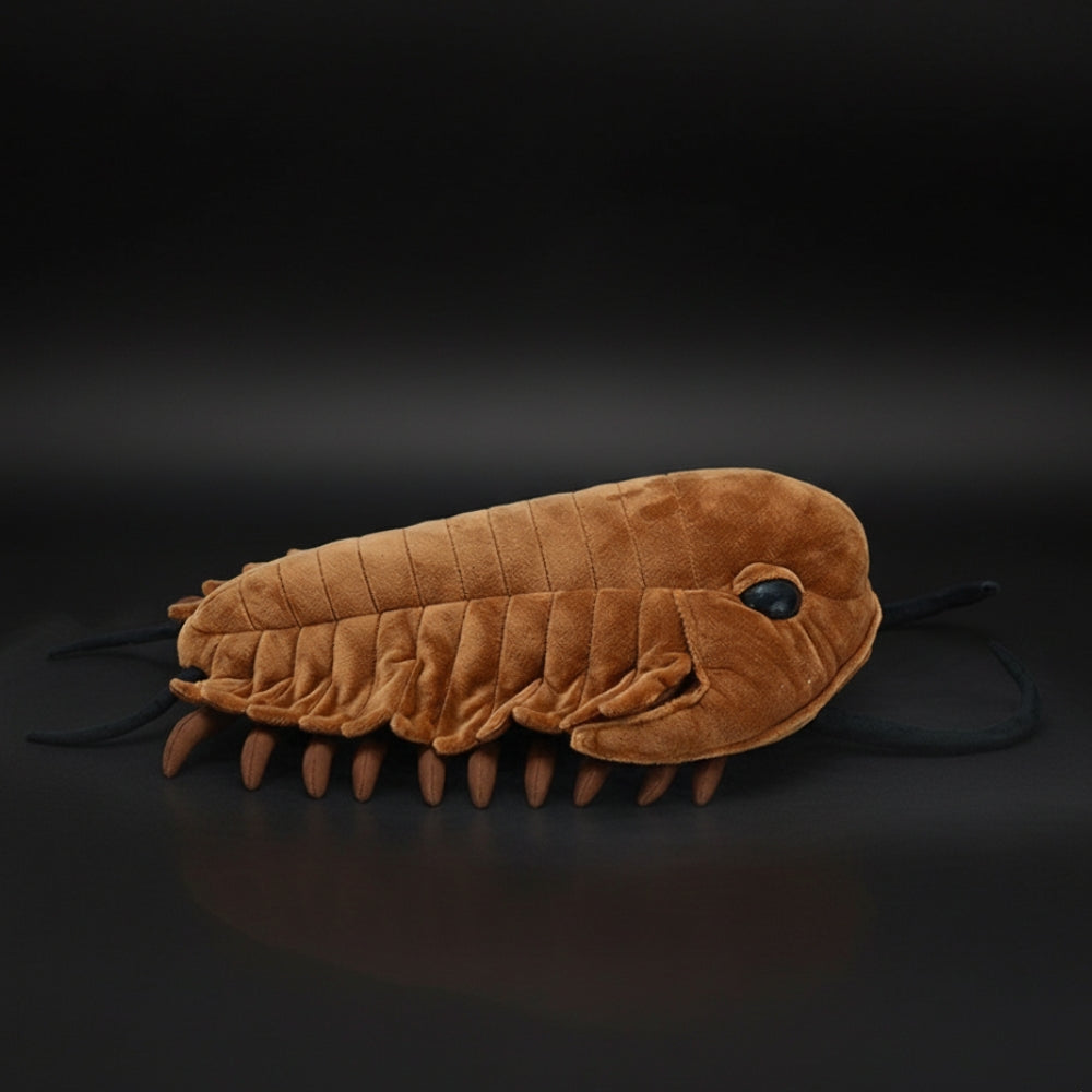 Realistic Redlichiida Trilobite Plush – Soft, Educational, and Perfect for Prehistoric Enthusiasts