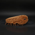 Realistic Redlichiida Trilobite Plush – Soft, Educational, and Perfect for Prehistoric Enthusiasts