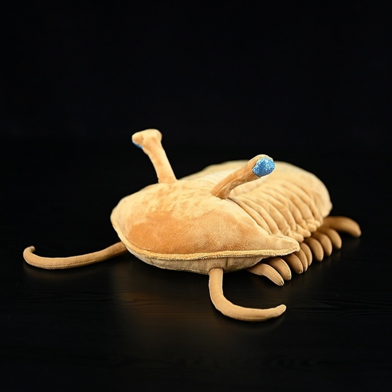 Angled view of Asaphus Kowalewskii trilobite plush toy with eyestalks raised and soft textured details by SoftDaysLab