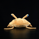 Realistic Asaphus Kowalewskii Trilobite Plush Toy – Soft, Unique, and Perfect for Prehistoric Enthusiasts