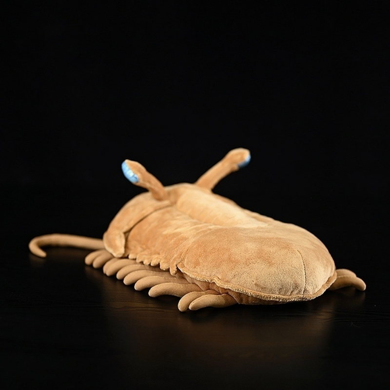Head-on view of Asaphus Kowalewskii trilobite plush toy with lifelike features and long eyestalks by SoftDaysLab