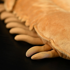 Close-up of Asaphus Kowalewskii trilobite plush toy's legs, showing lifelike prehistoric anatomy by SoftDaysLab