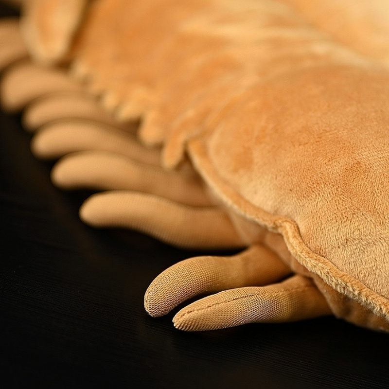 Close-up of Asaphus Kowalewskii trilobite plush toy's legs, showing lifelike prehistoric anatomy by SoftDaysLab