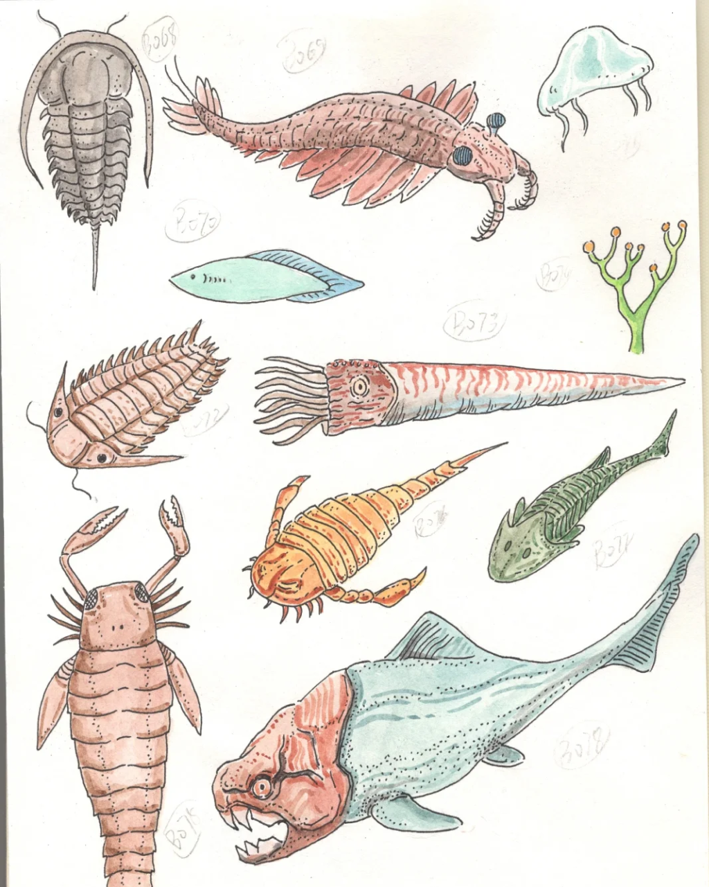 softdayslab-homepage-image-01